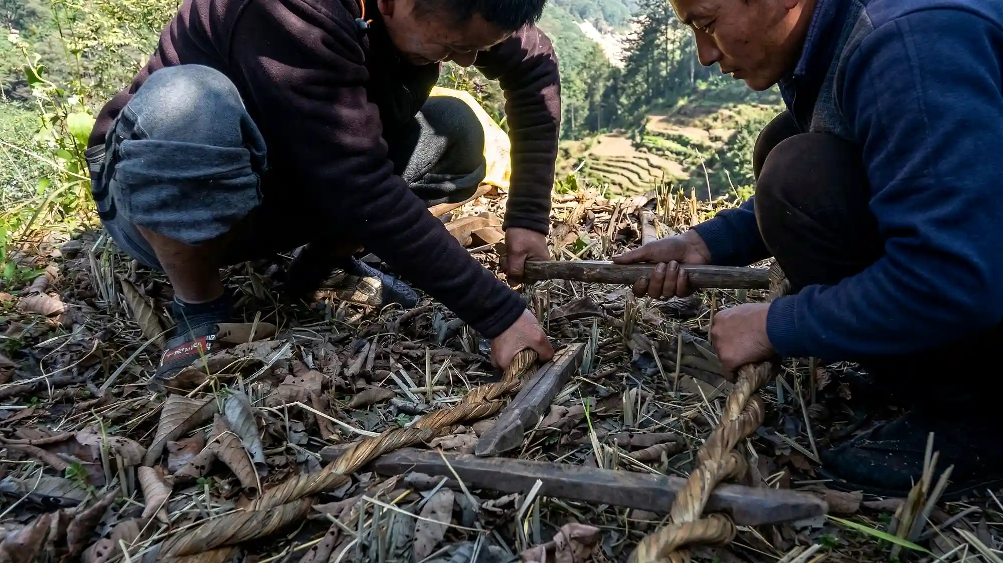 Two Nepali honey hunters crouching on a hillside working together to secure a thick twisted rope for a cliff ladder, with terraced agricultural fields and pine forest visible in the Himalayan valley below.